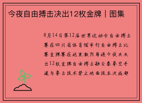 今夜自由搏击决出12枚金牌|图集 今夜自由搏击决出12枚金牌|图集